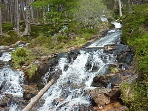 Waterfall in Caledonian Forest1