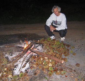 Bonfire on full moon night